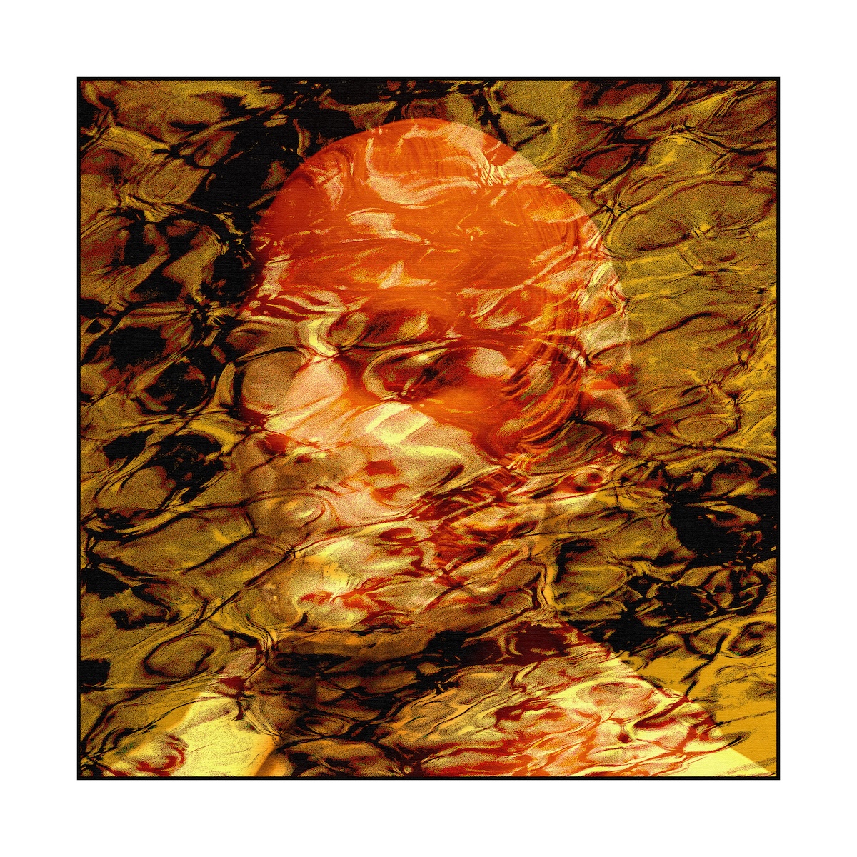 Im Flugschatten der Tr�ume